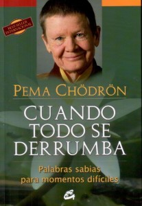 DERRUMBA2